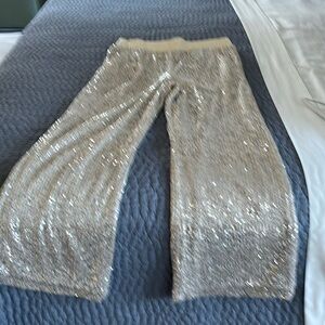 Boston Proper Silver Sequin Wide Leg Pants